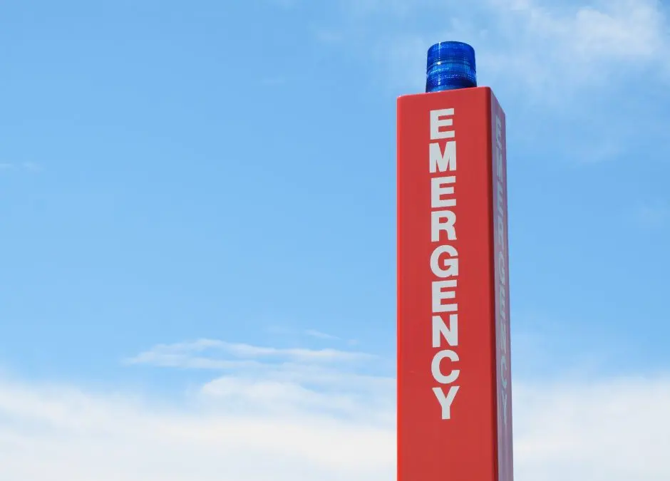 Top Features to Look for In A Blue Light Phone Solution