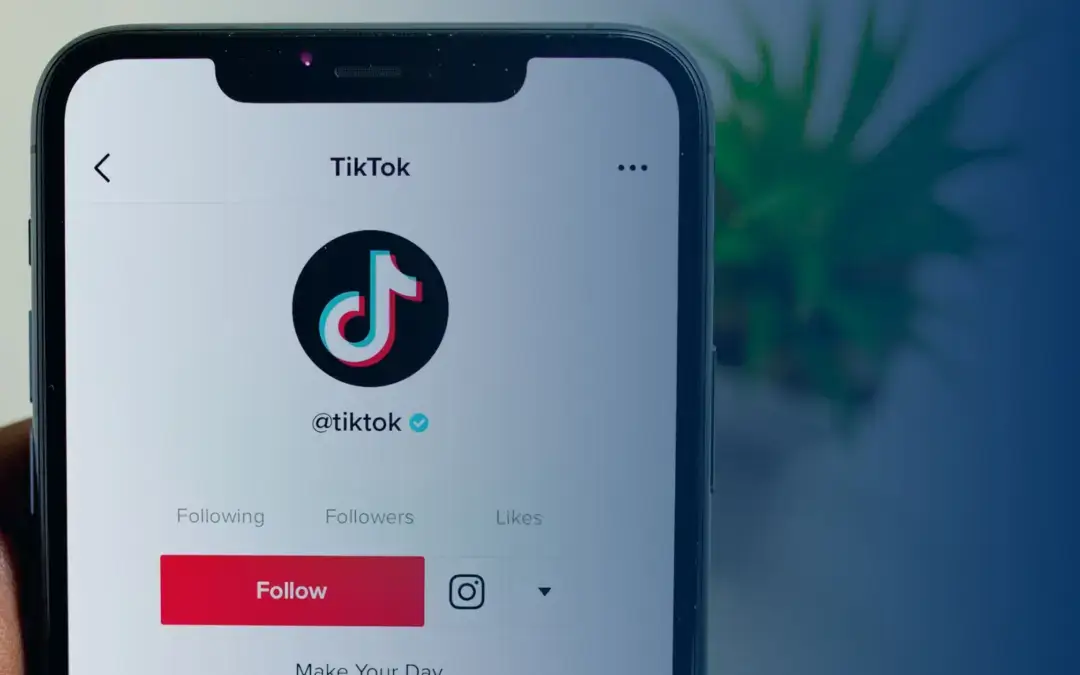 Why TikTok Is A Privacy Concern In Schools
