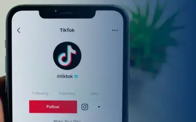 Why TikTok Is A Privacy Concern In Schools