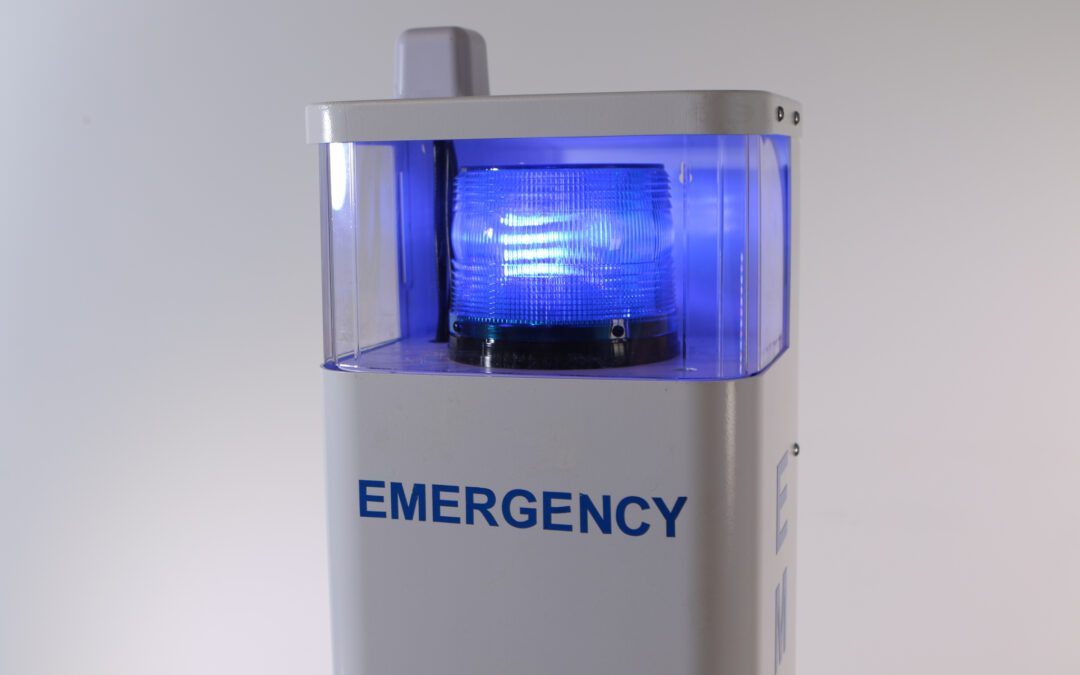 Extend Your Police Force with Blue Light Phones