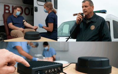 PNK in Action: Real Stories from the Field