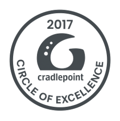 Emerging partner Logo