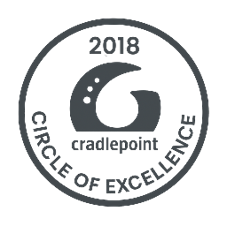 Emerging partner Logo