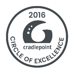 Emerging partner Logo