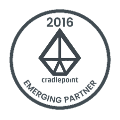 Emerging partner Logo