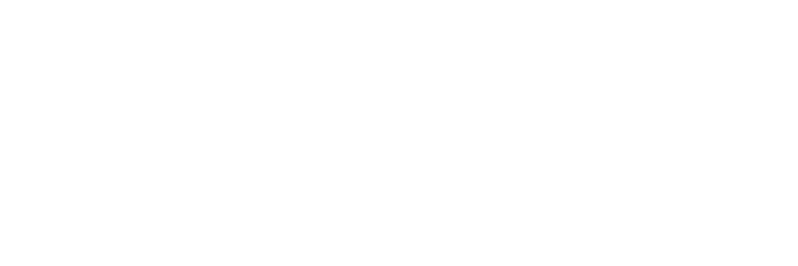 PNK Starlink-Ready co-branded logo lockup